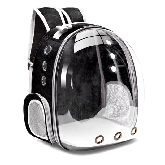 Cat Capsule